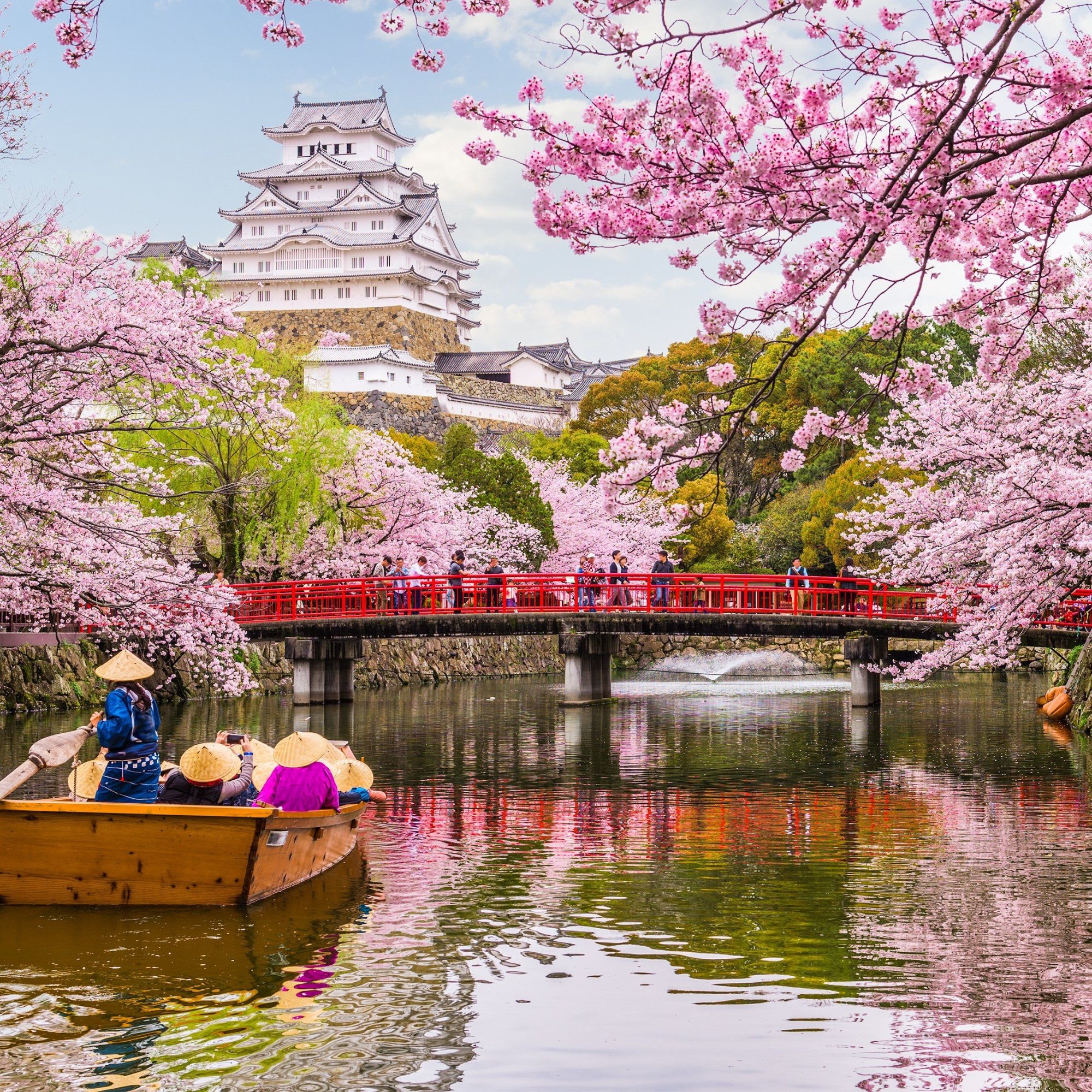 Japan Spring Season 2027