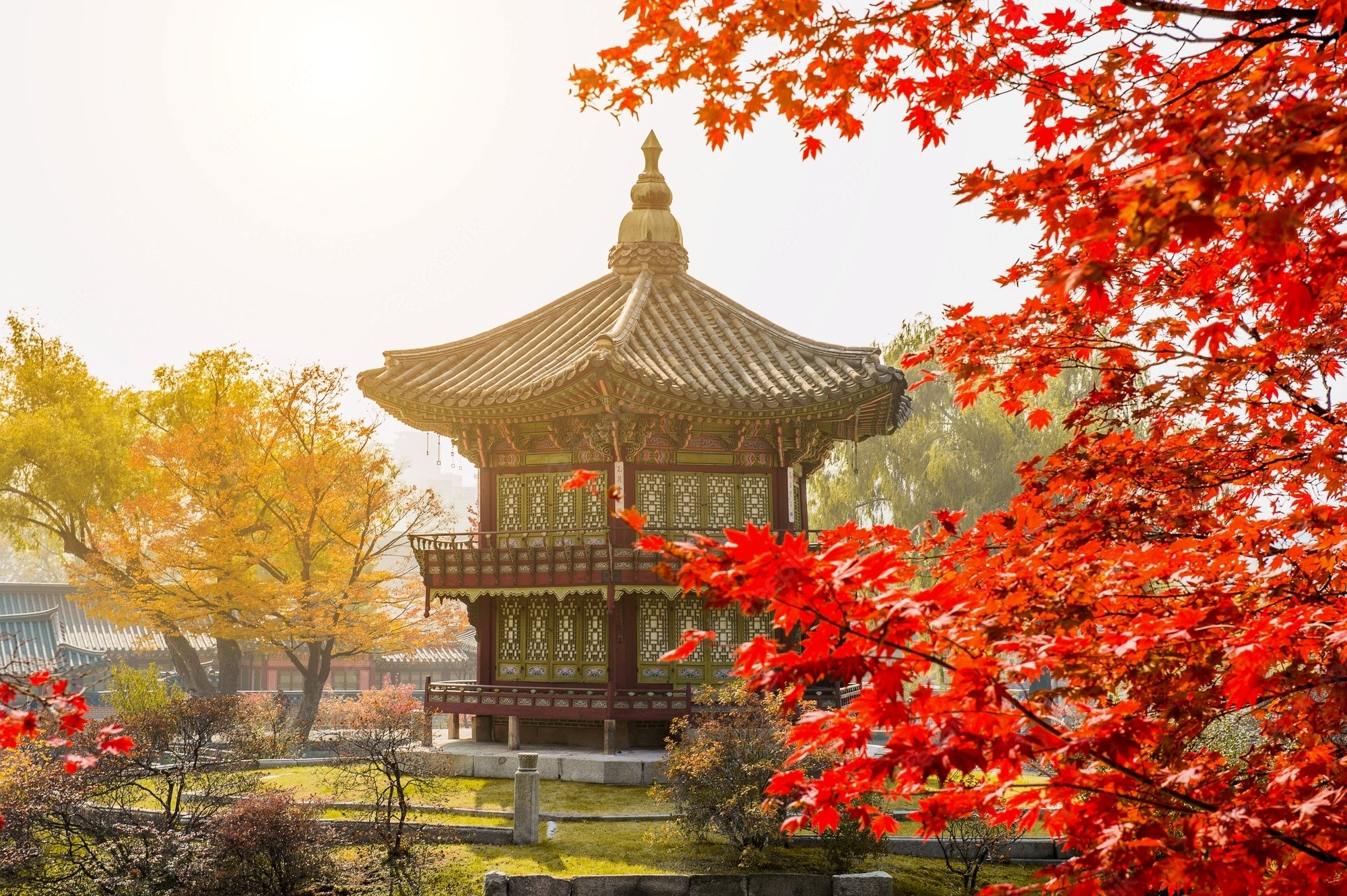 South Korea Autumn Season 2026