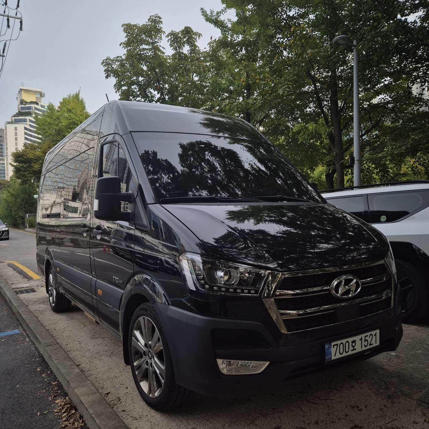 Reguler Hyundai Solati — 1 Day Gyeonggi-do Trip