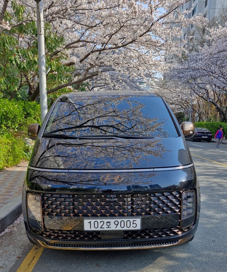 VIP Hyundai Staria — 1 Day Gangwon-do Tour